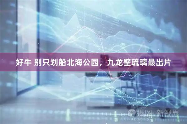 好牛 别只划船北海公园，九龙壁琉璃最出片