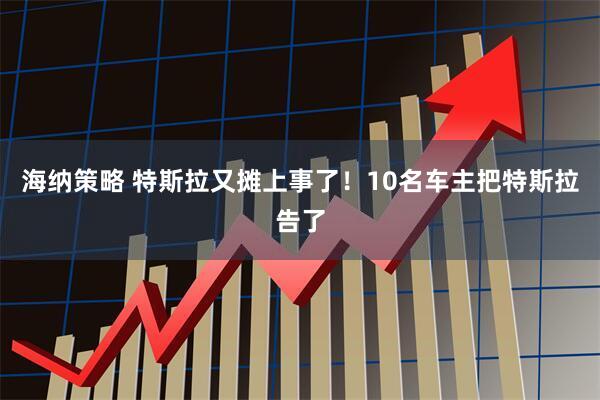 海纳策略 特斯拉又摊上事了！10名车主把特斯拉告了