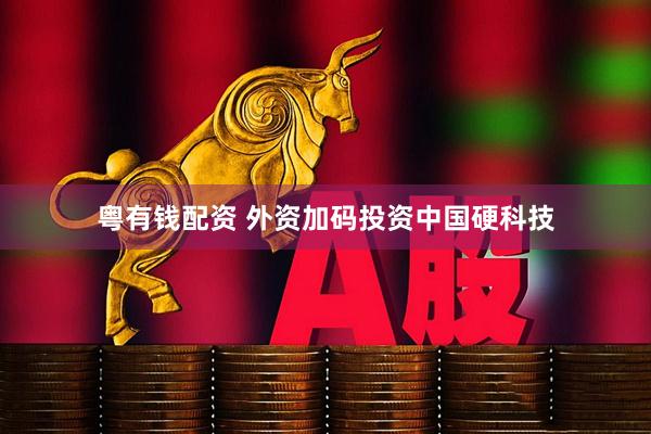 粤有钱配资 外资加码投资中国硬科技