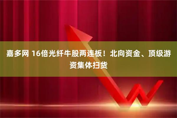 嘉多网 16倍光纤牛股两连板！北向资金、顶级游资集体扫货